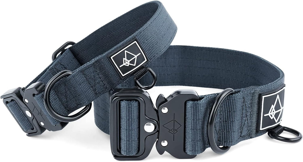 Close up of Made To Roam dog collar heavy duty metal buckle