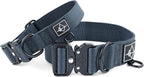 Close up of Made To Roam dog collar heavy duty metal buckle