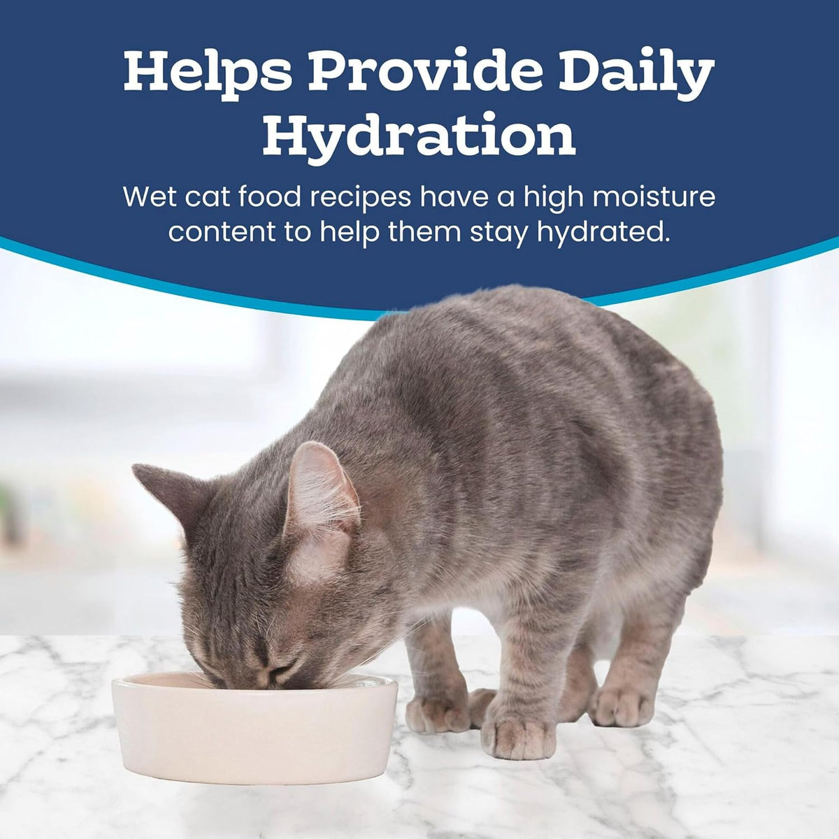 Assorted flavors of Blue Buffalo wet cat food arranged together