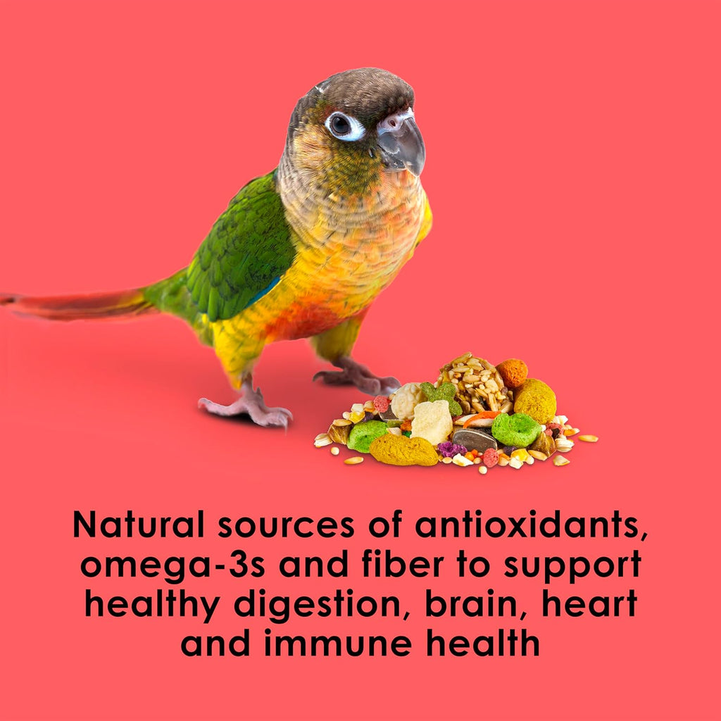 Conure Enjoying The Kaytee Fiesta Gourmet Bird Food Mealtime