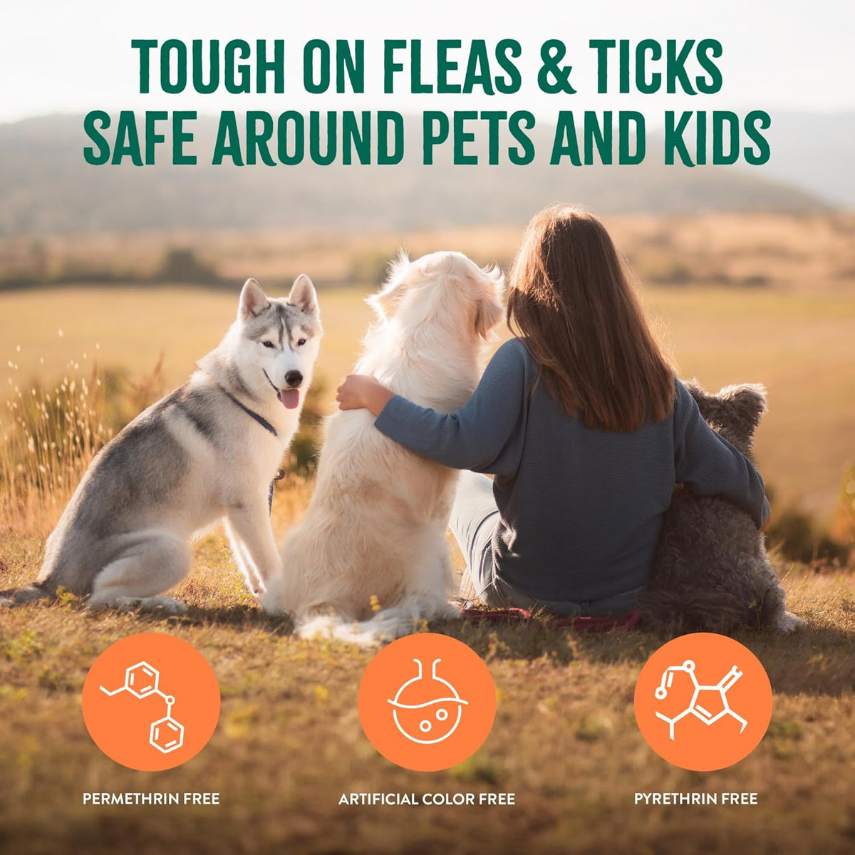 Back view of TropiClean flea and tick spray bottle with instructions