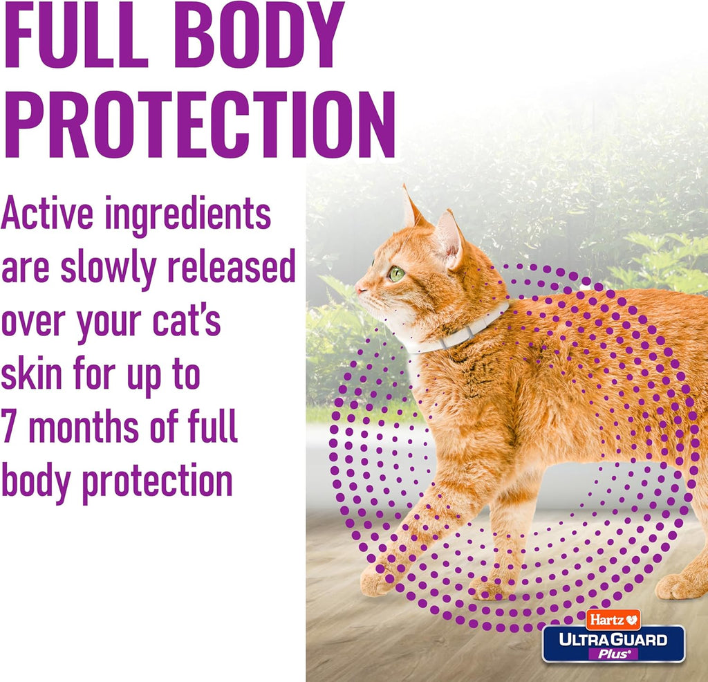 Hartz flea collar product packaging showing 7 month protection label