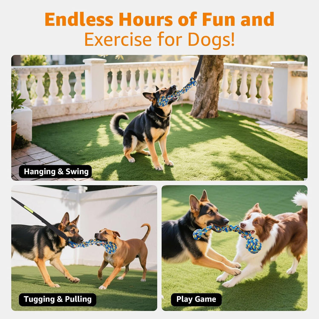Large aggressive chewer dog playing solo tug of war with the bungee cord toy