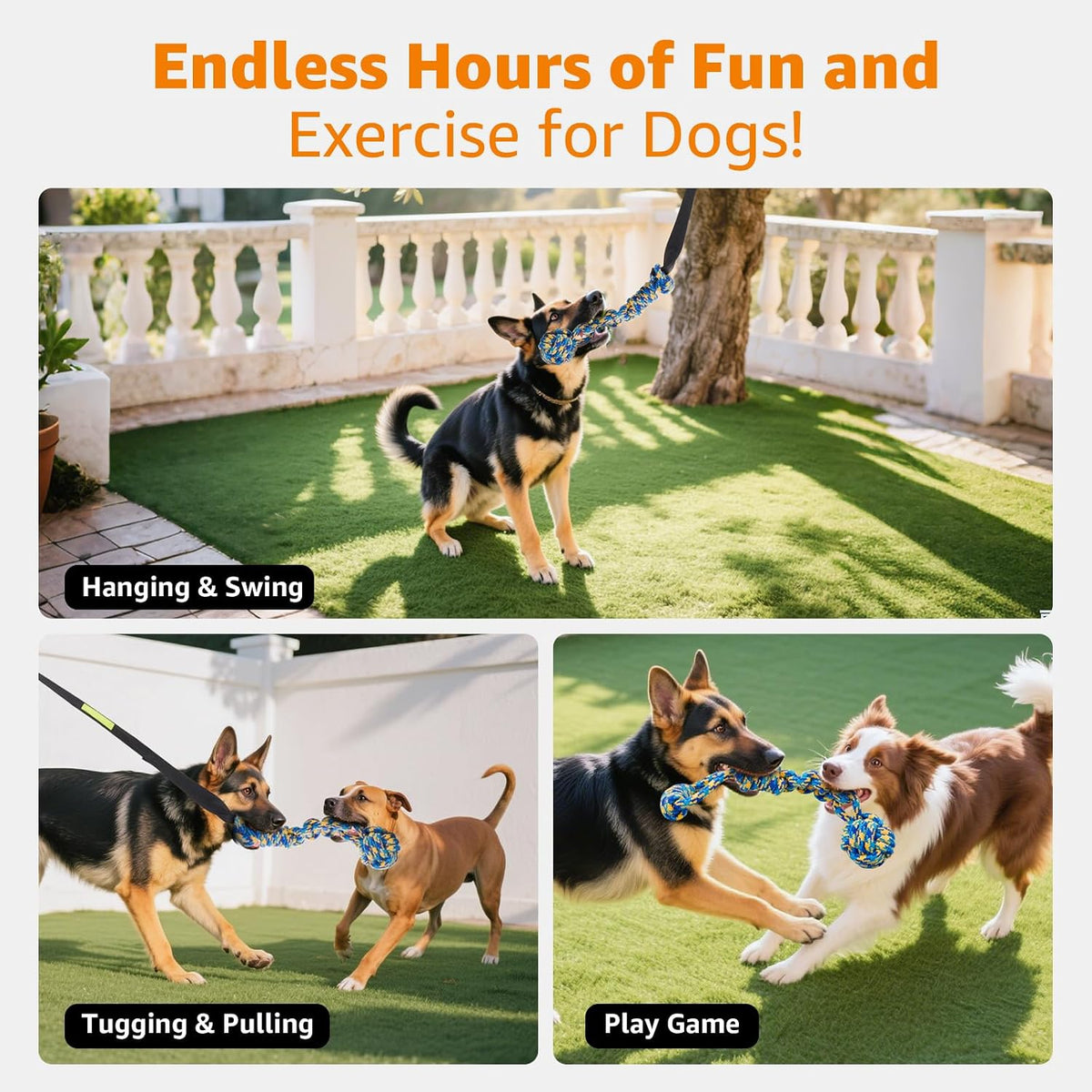 Large aggressive chewer dog playing solo tug of war with the bungee cord toy