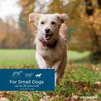 Wondercide small dog pest prevention three month supply box