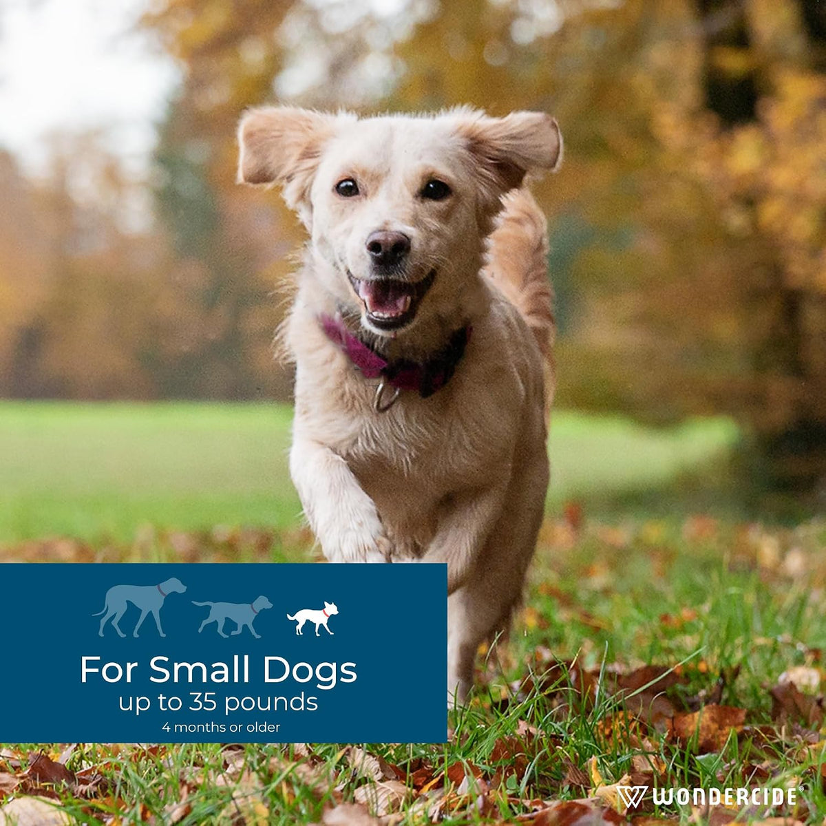 Wondercide small dog pest prevention three month supply box