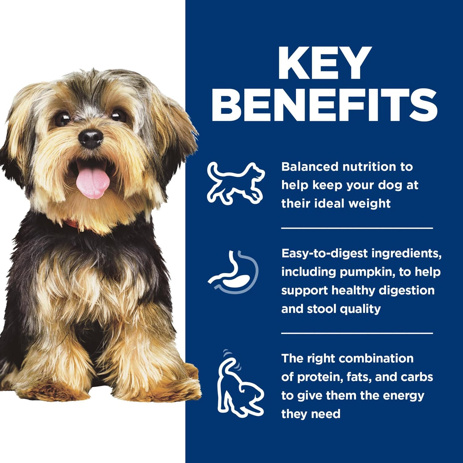 Hill's Science Diet small paws nutritious wet dog food 12 count case