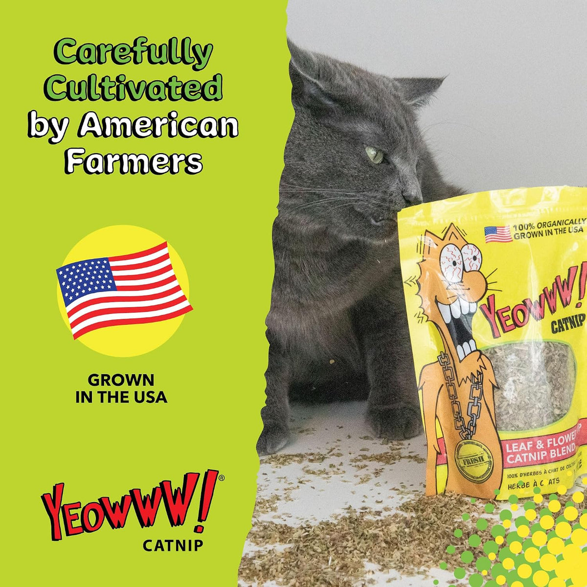 Eco friendly packaging forty percent recycled plastic catnip container close up