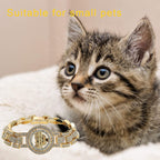 Bling diamond appearance pet accessory demonstrating the rotating dollar charm.