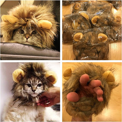 Authentic OMG Adorables lion costume for pet cosplay