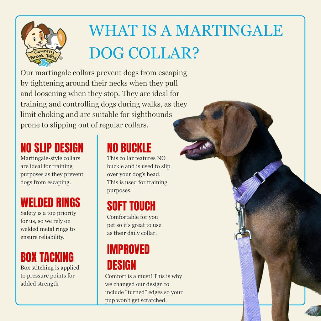Safe limited closure loop mechanism on premium martingale pet accessory
