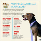 Safe limited closure loop mechanism on premium martingale pet accessory