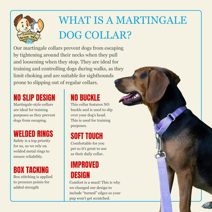 Safe limited closure loop mechanism on premium martingale pet accessory