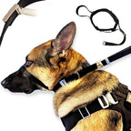 PetsProMax Dog Headcollar Medium size front view black nylon