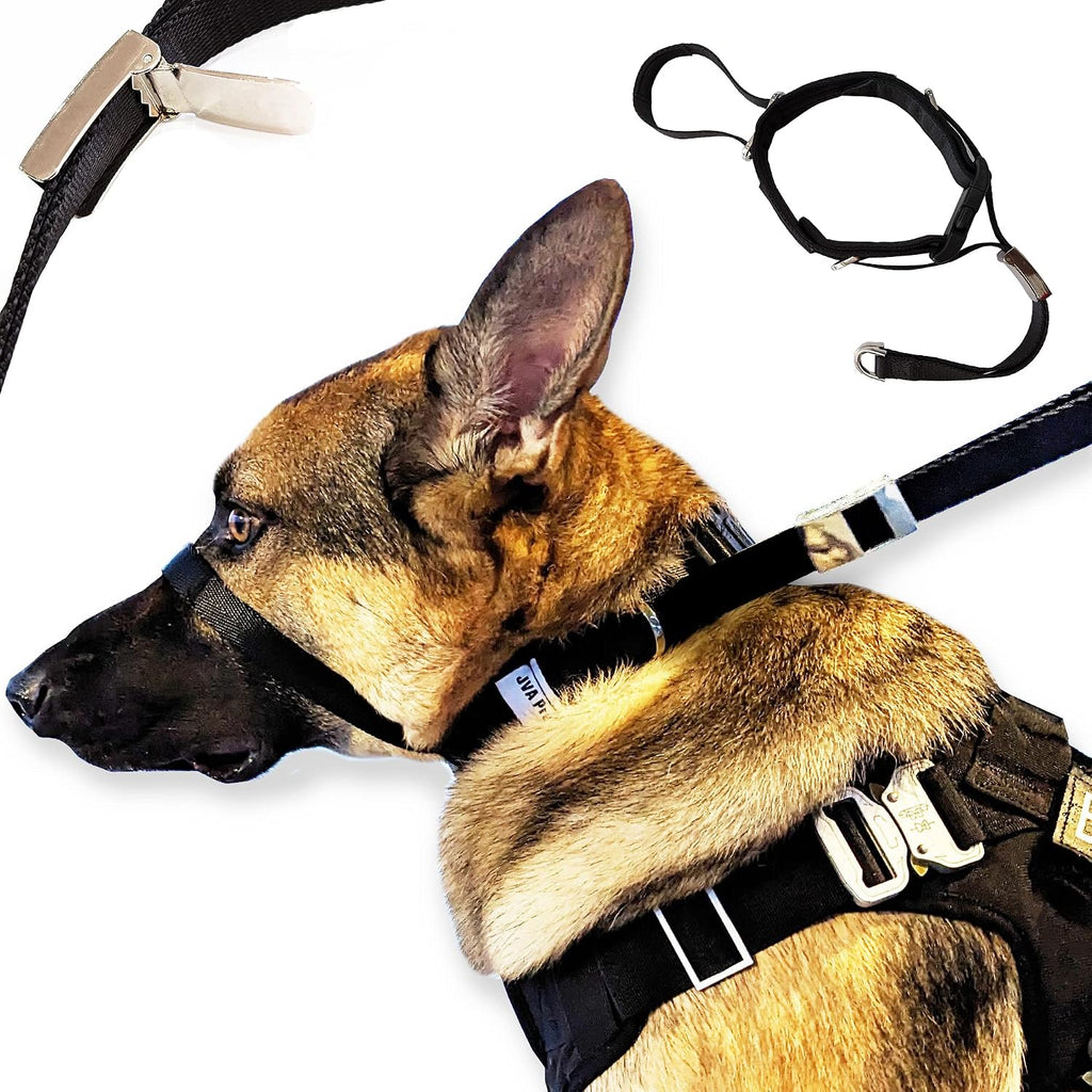 JVA Pro No Pull Dog Headcollar front view for large dogs