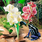 Chuangdi artificial phalaenopsis orchid full length 27.5 inches view