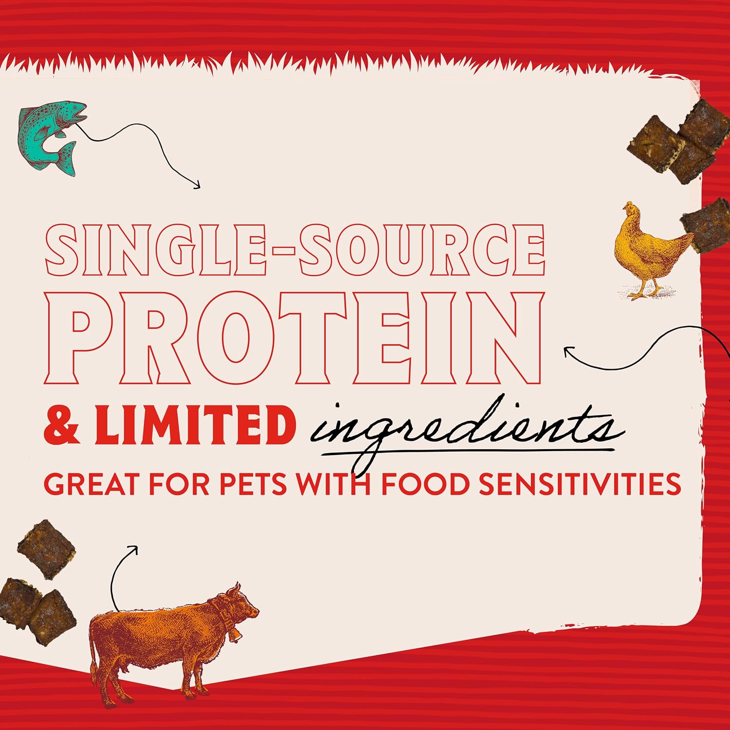 High protein salmon jerky bites for small and large dogs