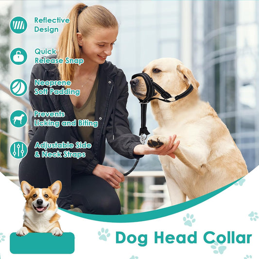 Side profile of the Rosvola anti pull dog collar highlighting the adjustable reflective straps.