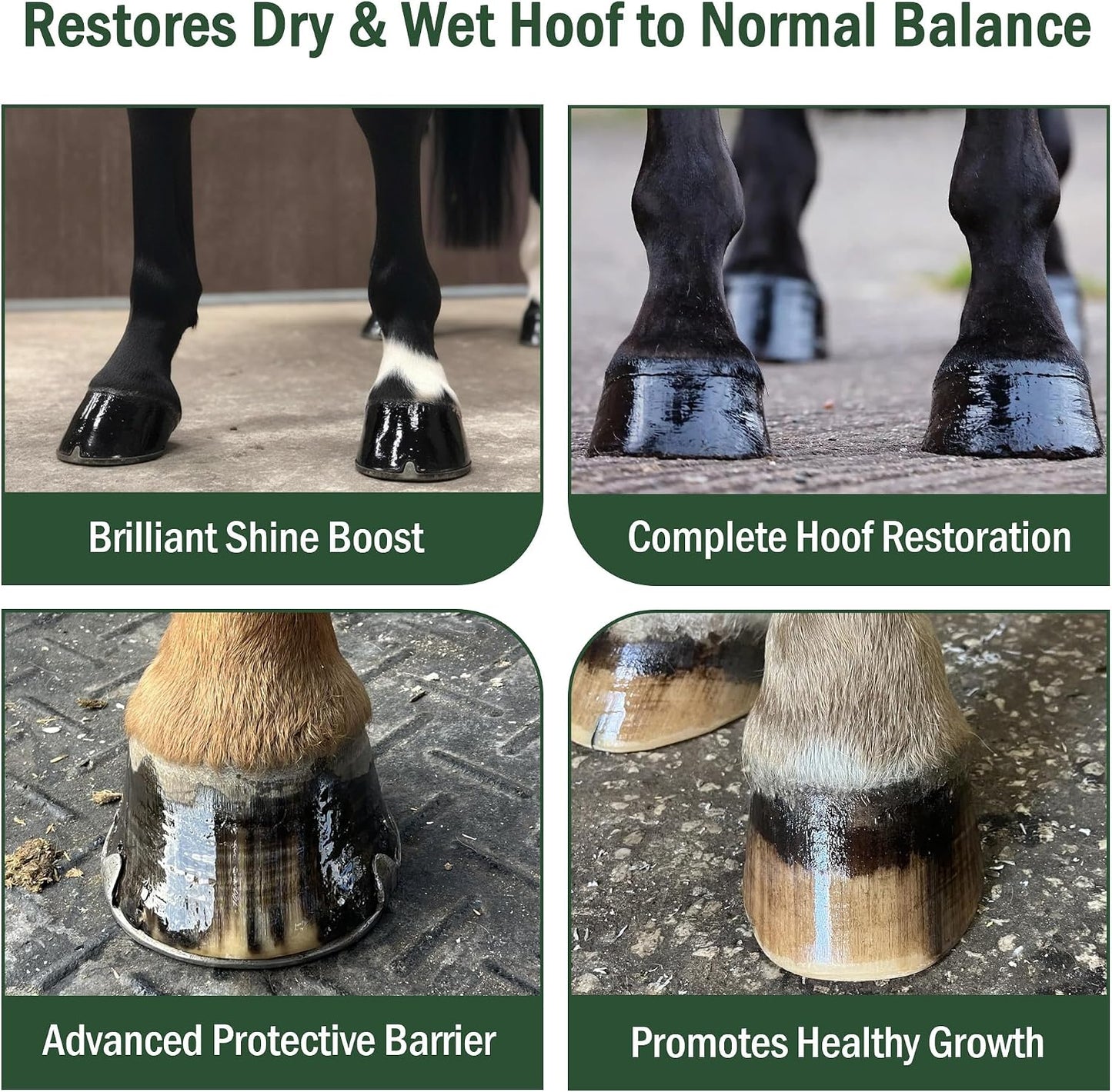 USA imported organic equine hoof oil liquid clear application on horse frog