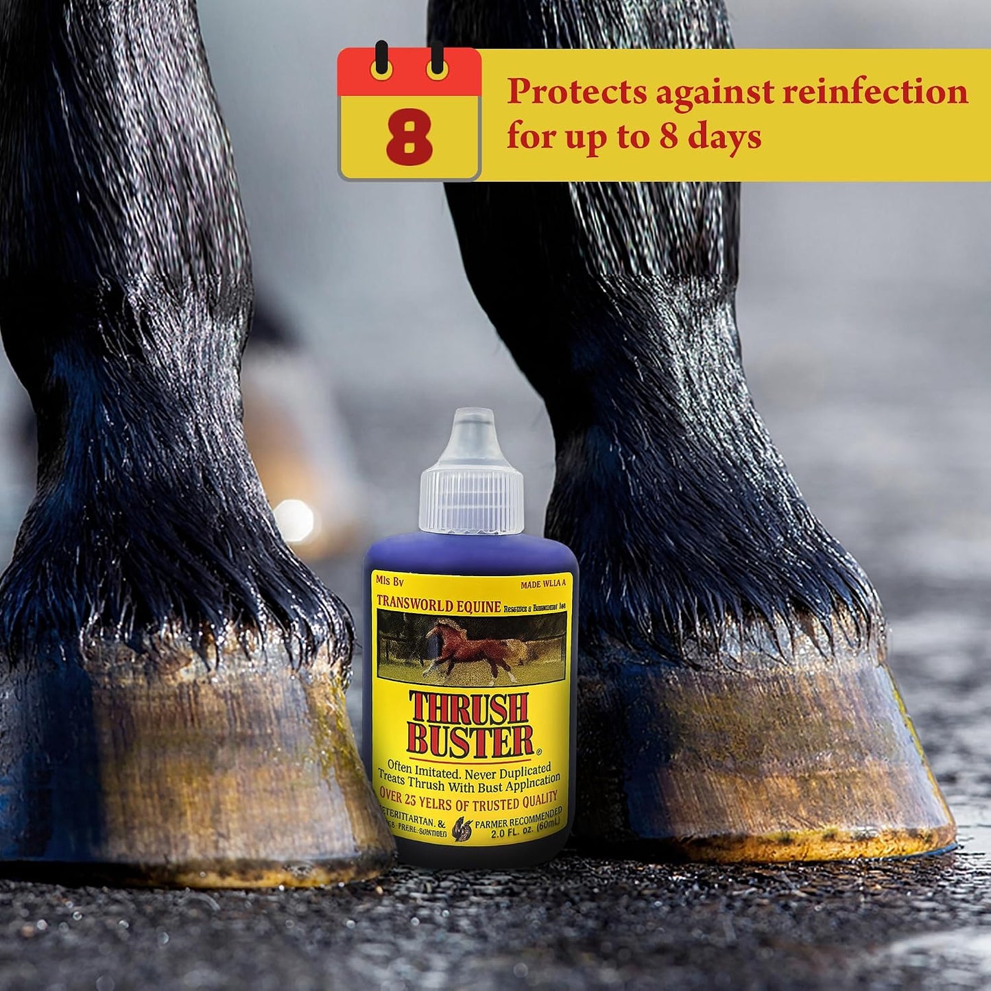 Side view of the two ounce Thrush Buster equine care formula liquid bottle