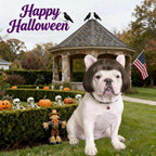 Lamiaraga adjustable dog costume wig showing the 3D curved mesh base