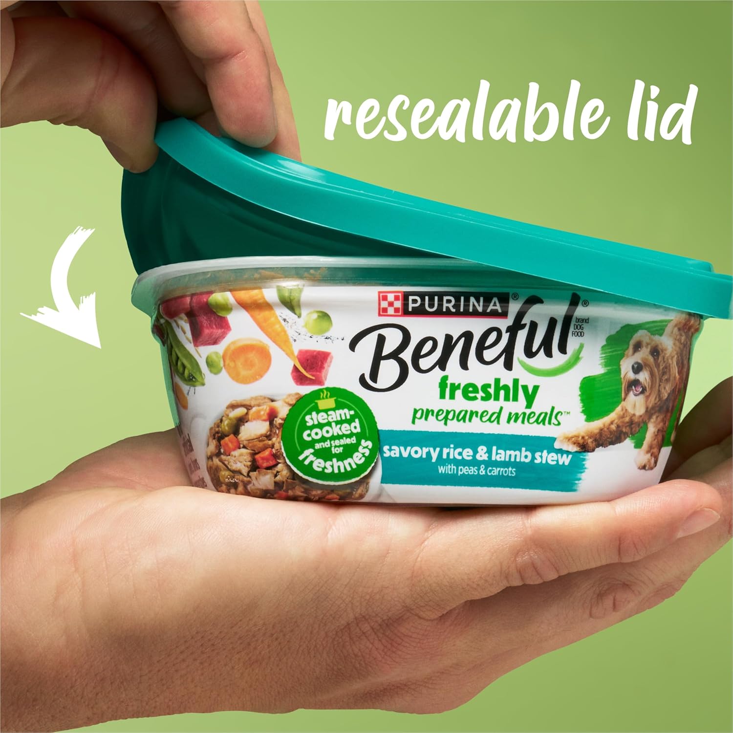Beneful freshly prepared blends wet dog food variety pack unboxing view showing all twelve tubs