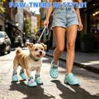 Dog wearing Kooltail sandals walking on pavement