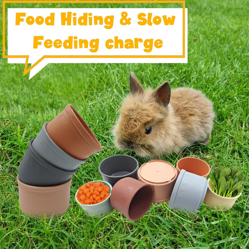 Textured rims on Starfa Lab small animal cups designed for healthy molar chewing.