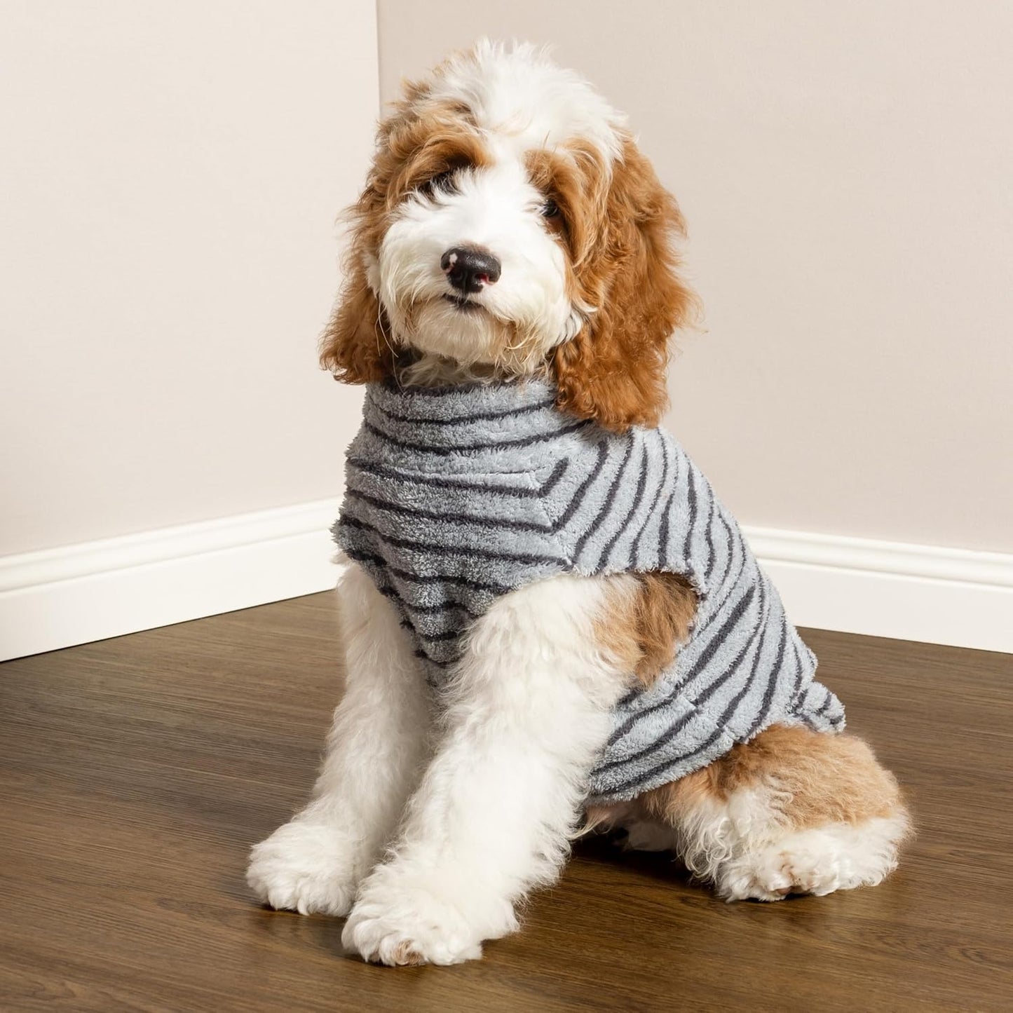 Fitwarm winter dog apparel grey and navy variants display.