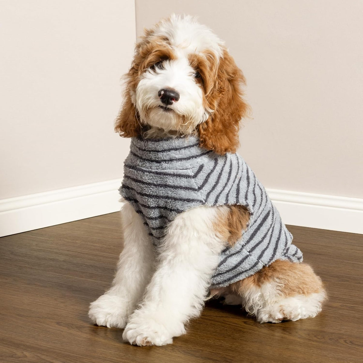 Fitwarm winter dog apparel grey and navy variants display.