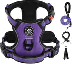 Ivy And Lane purple no pull harness front view