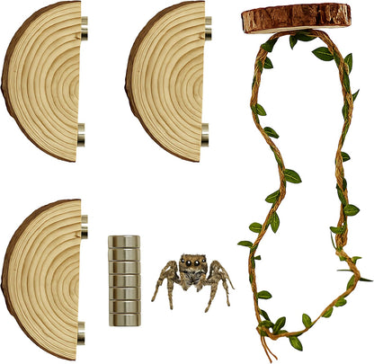 Jumping Spider Enclosure Accessories Kit, Habitat Decor-3 Wood Ledges & 1 Climbing Rope - Image 1