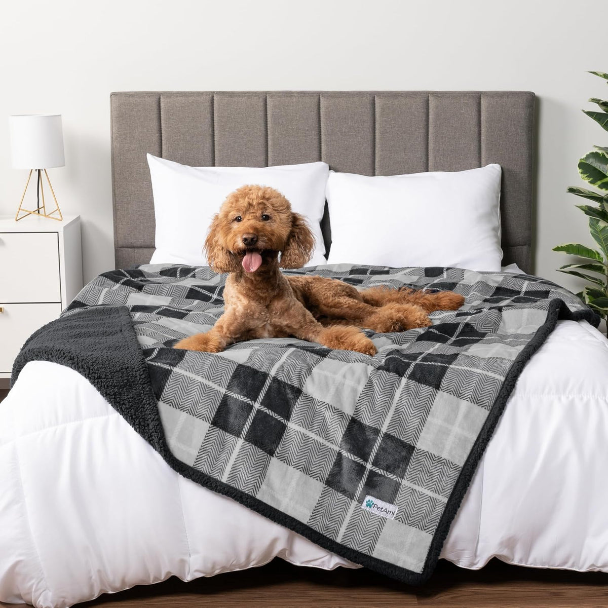 PetAmi Waterproof Dog Blanket for Couch, Extra Large 80x60, Pee Proof Sherpa Fleece Reversible Pet Throw, Furniture Protector for Bed Sofa Crate Kennel, Soft Washable Cover for Dog Cat, Grey Sherpa - Image 14