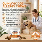 Premium canine immune system and digestive health soft chews for hot spots