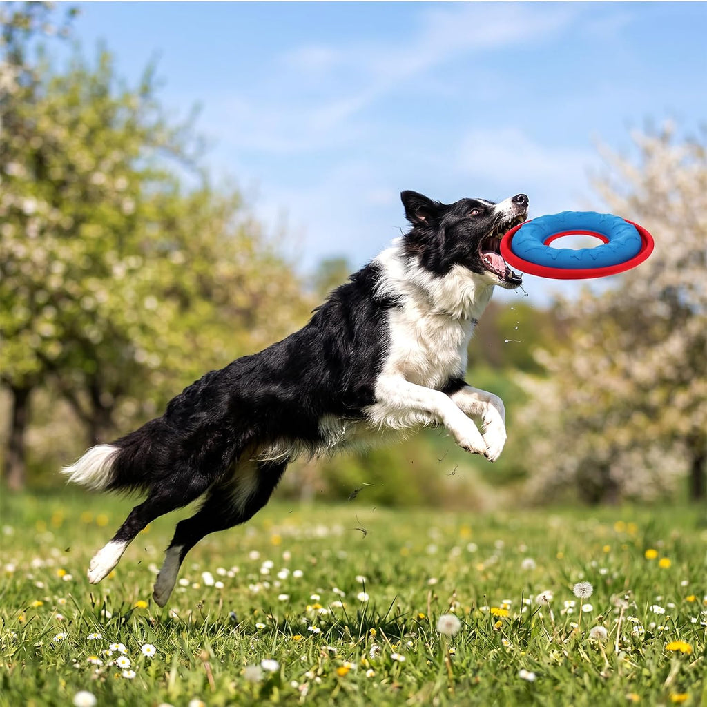 Durable EVA lining of Kuyeyzu dog flying disc