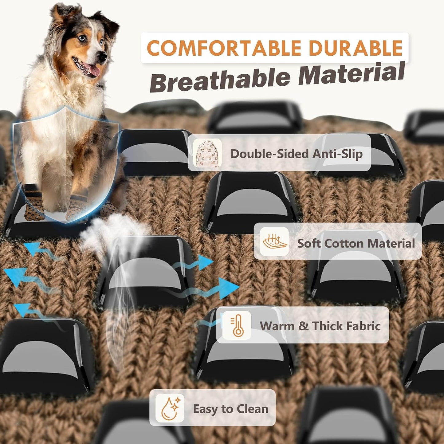 Senior dog wearing grip socks for paw protection