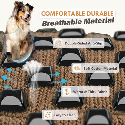 Senior dog wearing grip socks for paw protection