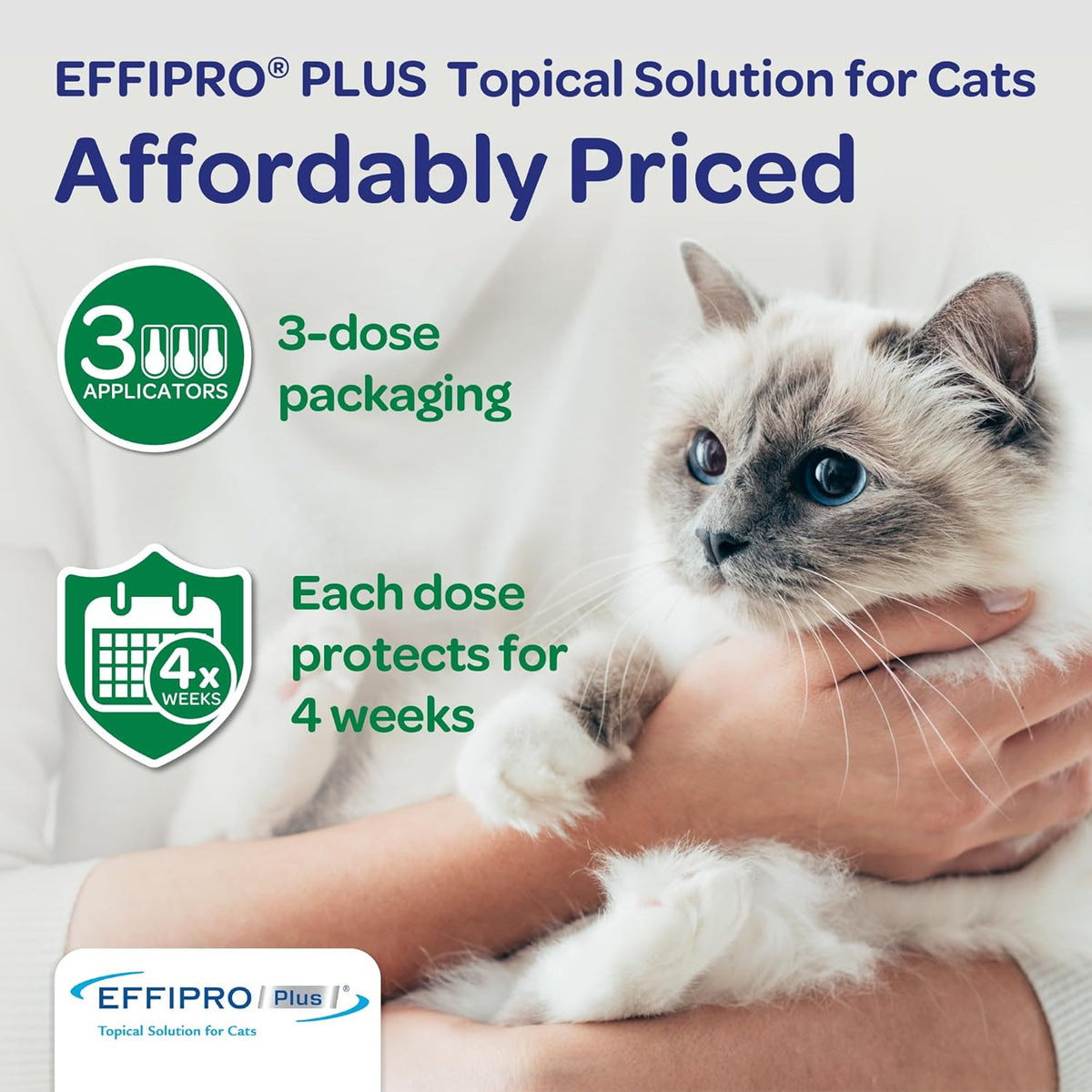 Instructional diagram on the box showing how to apply cat spot-on treatment