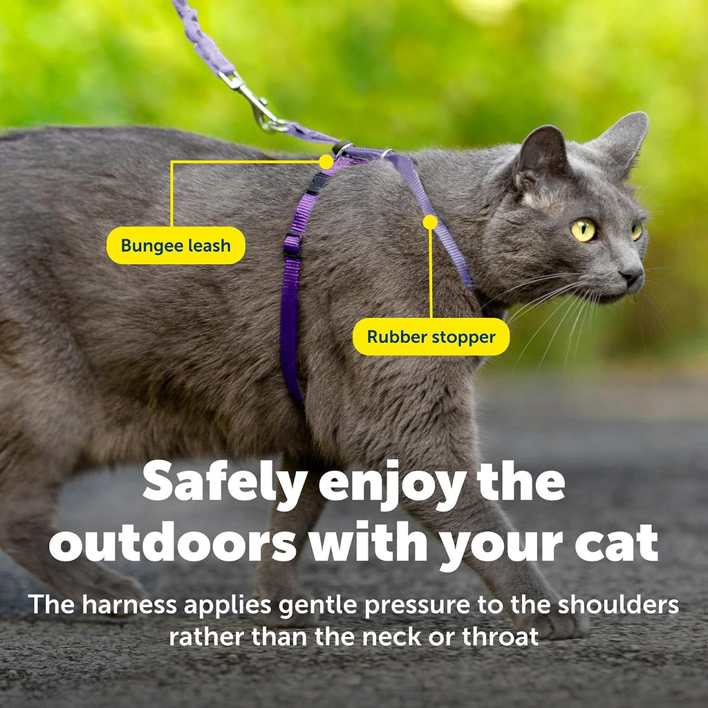 Detailed view of the shoulder straps designed to distribute pressure away from the neck