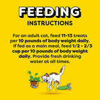 Blissful catnip flavor product label detail on the pet snack jar