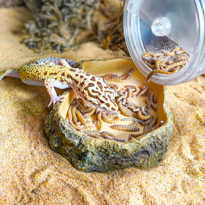 Professional reptile supplement shaker and feeder tool