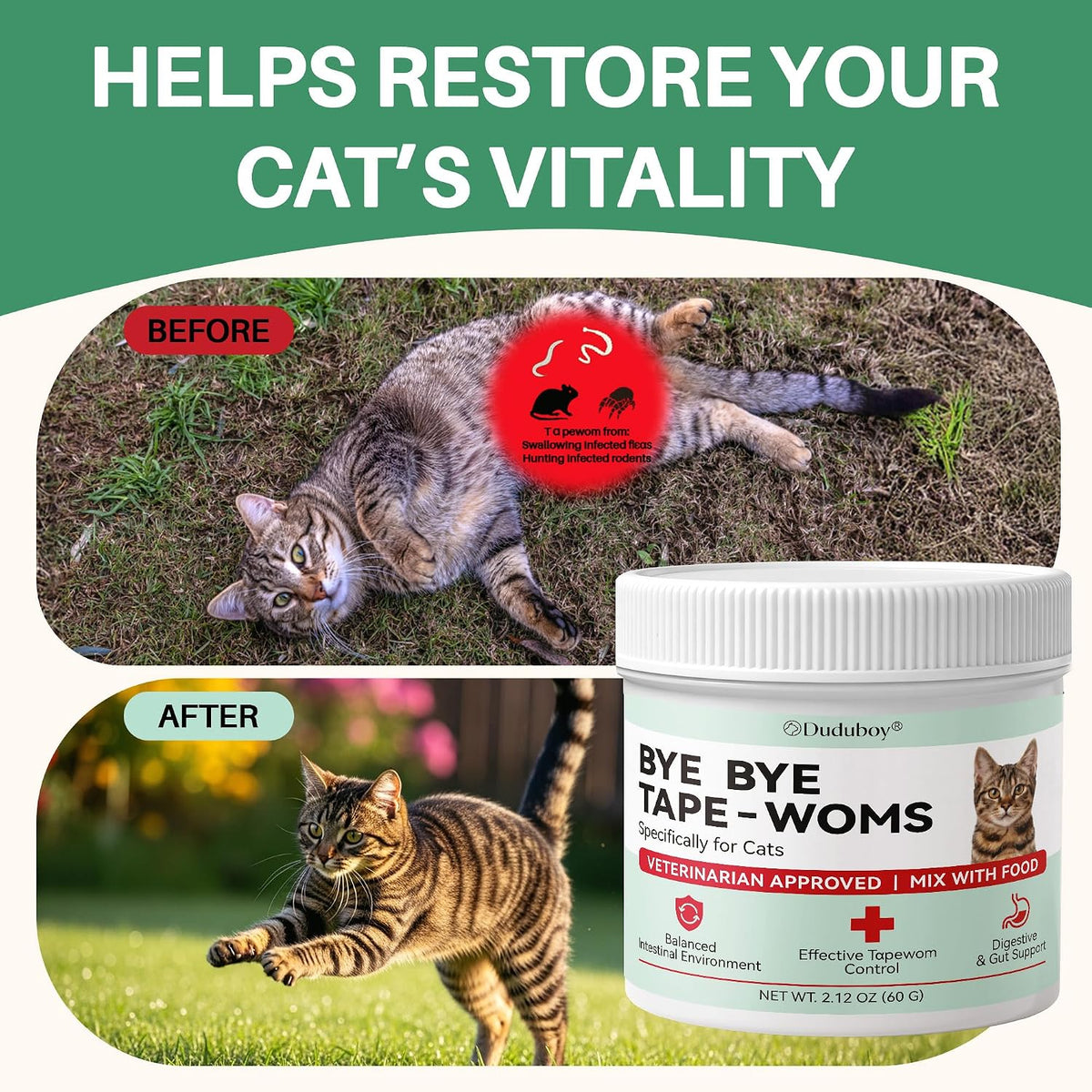 Hsl chicken flavored probiotic powder for cats