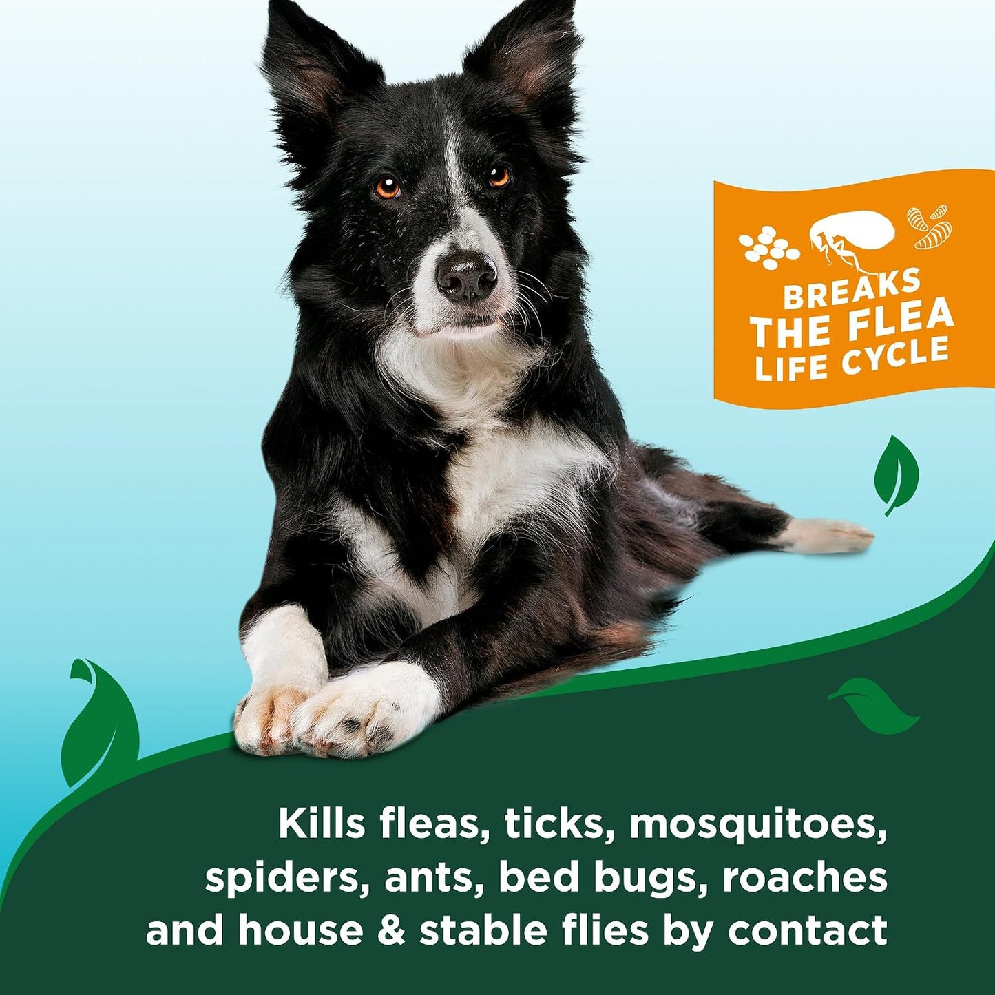 Authentic Vet's Best dog grooming dry shampoo directions for use