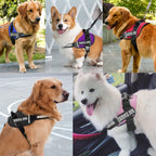 Internal view of JSXD dog harness showing breathable sponge padding