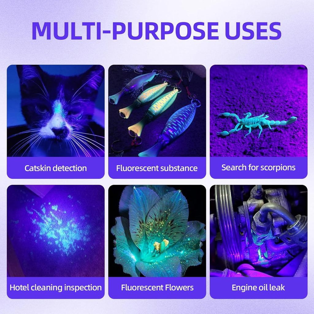 BEIKE mini ultraviolet blacklight detecting pet urine stains on a living room carpet.