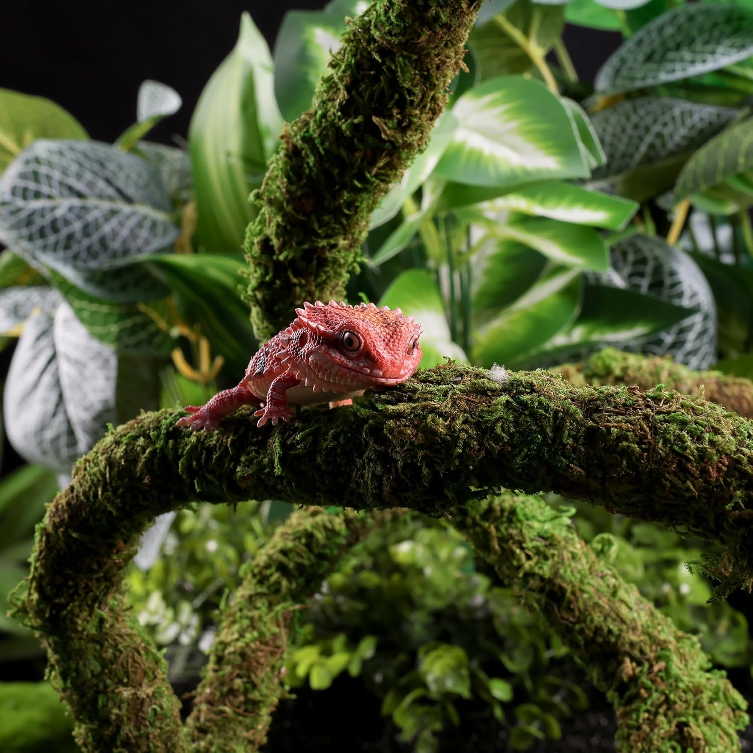 Close up view of realistic green moss texture on reptile vine