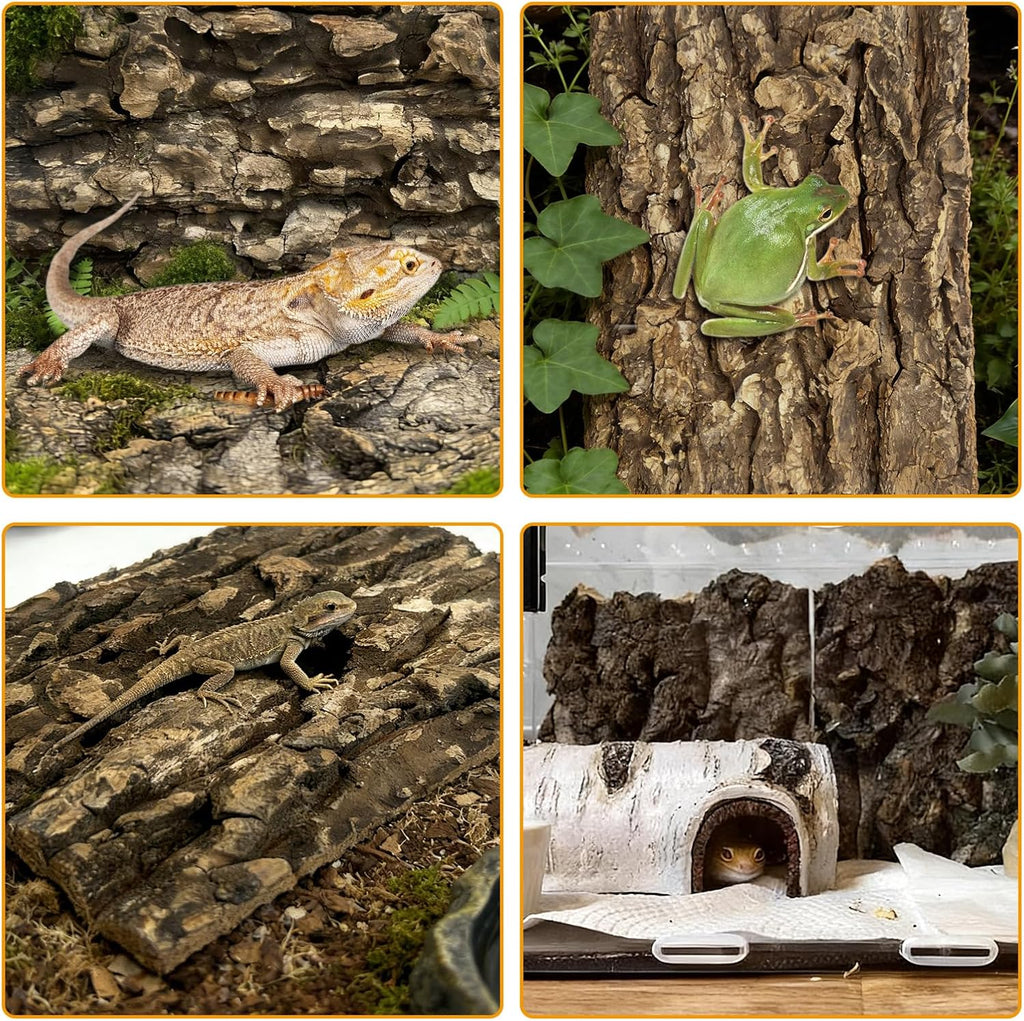 Six pieces of Apatal natural cork wood terrarium background decor laid out to show size variations.