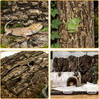 Six pieces of Apatal natural cork wood terrarium background decor laid out to show size variations.
