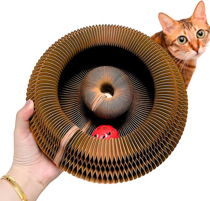 Kitty Kurlz Interactive Cat Toy front view showing the circular magic organ shape with the rolling bell ball inside.