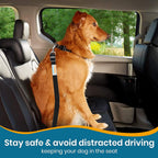 Pet travel accessory for secure driving